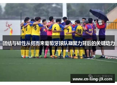 团结与韧性从何而来葡萄牙球队凝聚力背后的关键动力